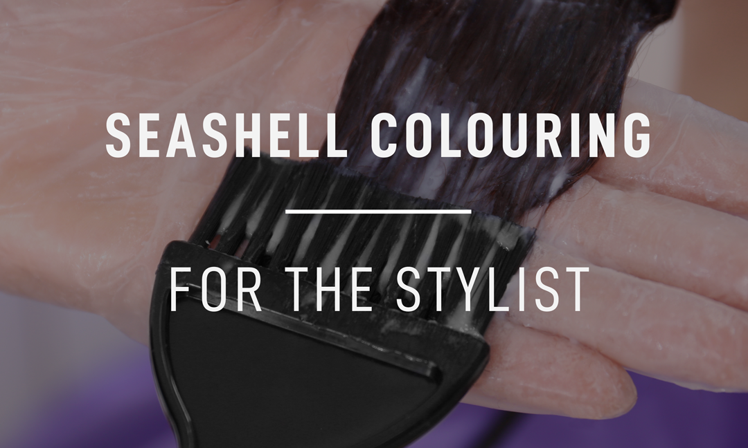 Seashell colouring