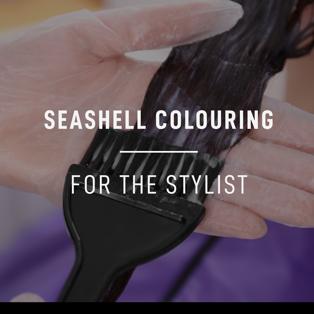 Seashell colouring – Curl Keeper
