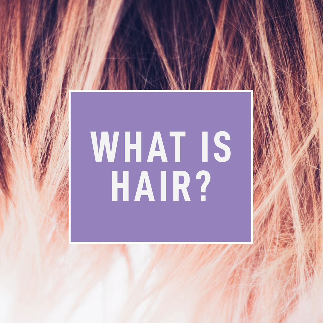 What is Hair? – Curl Keeper